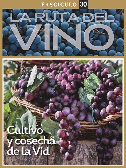 Title details for La ruta del VINO by Media Contenidos - Available